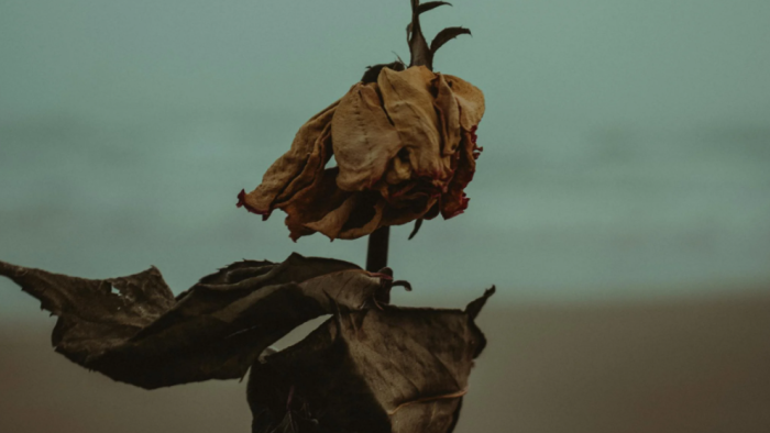 Kendini Bulmanın Sessiz Tarafı